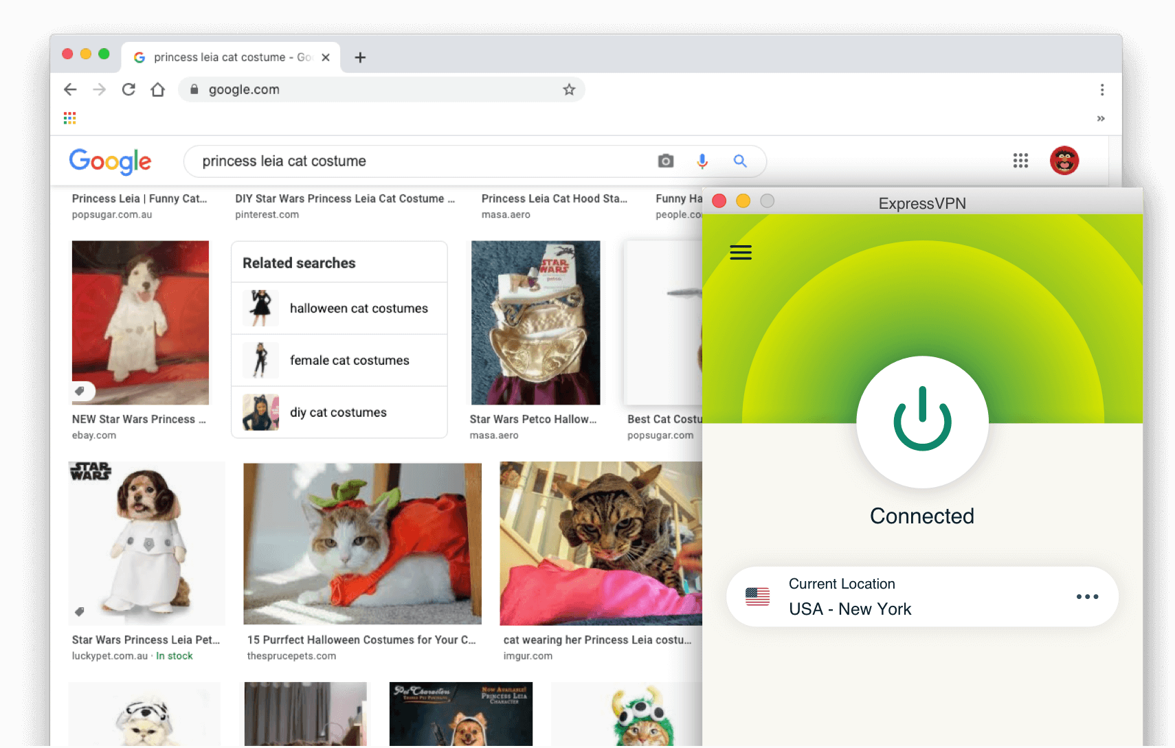 Результаты поиска Google: Костюм кошки принцессы Леи с включенным ExpressVPN.