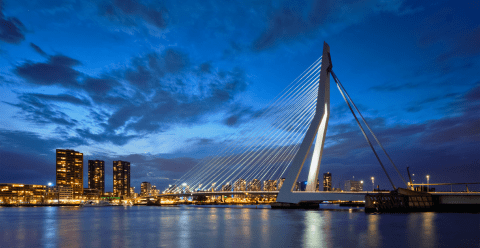 Rotterdam şehri.