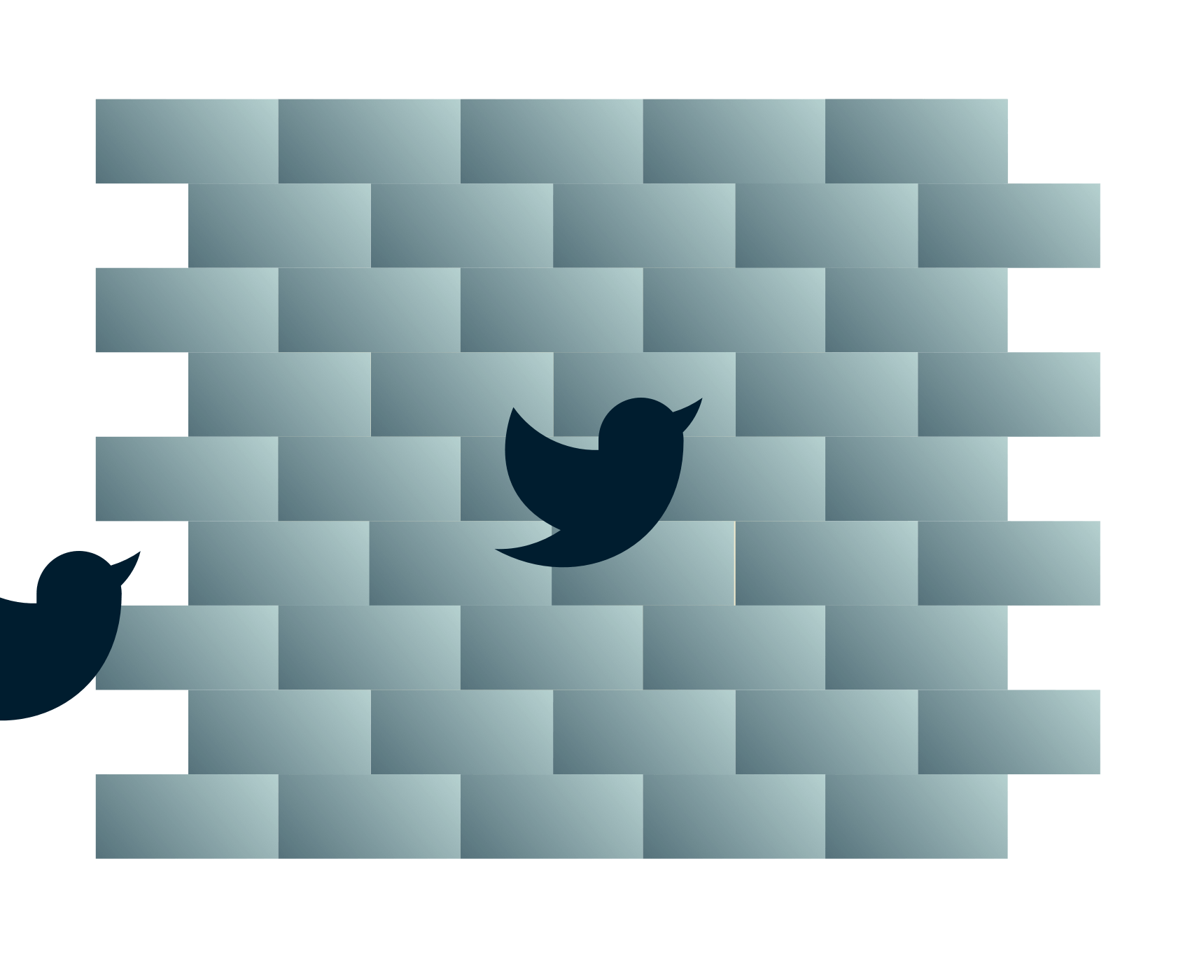 Twitter-fugle p&aring; vej ind i en mur.